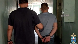 В России зафиксирован резкий рост кибермошенничества среди несовершеннолетних