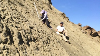 Отложения Джунгарского бассейна раскрывают связь между хаосом Солнечной системы и углеродным циклом Земли