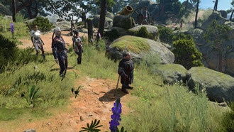 Все спутники в Baldur's Gate 3: где найти и как завербовать