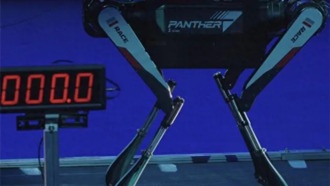 Китайский робот-собака «Чёрная пантера 2.0» побил 10-летний мировой рекорд скорости