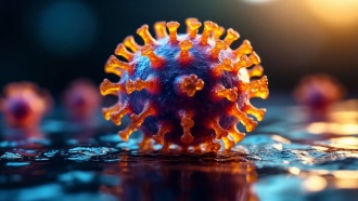 Учёные обнаружили 230 новых видов гигантских вирусов в океане — стоит ли беспокоиться?