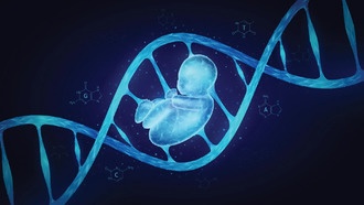 Ученые раскрыли 100-миллионолетнюю тайну беременности: как эволюционировала плацента