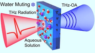 Новая технология позволяет измерять уровень натрия в крови без игл