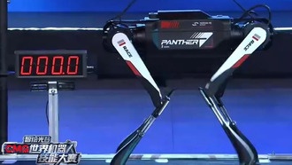 Китайский робопес Black Panther разогнался до 10,3 м/с, обогнав большинство людей