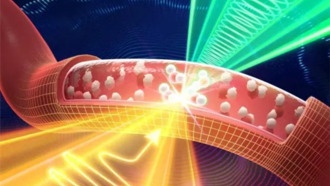 Китайские учёные разработали систему для бескровного измерения уровня натрия в крови