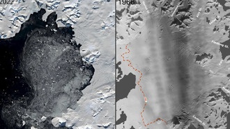 Учёные зафиксировали ускоренное разрушение антарктического шельфового ледника