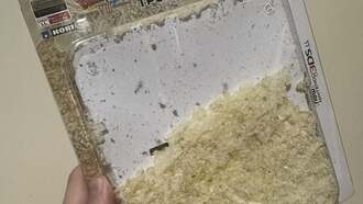 Фанат Nintendo хранил оригинальный чехол для 3DS годами, но он рассыпался в пыль в запечатанной упаковке