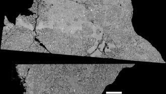 Обнаружен самый молодой базальтовый лунный метеорит, заполнивший пробел в истории вулканизма Луны