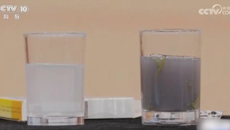 Почему не стоит запивать лекарства чаем