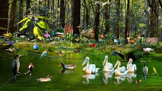 Люди интуитивно определяют уровень биоразнообразия в природе