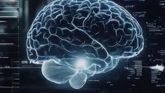 Китайские учёные представили прорывные исследования в области мезомасштабного картирования мозга