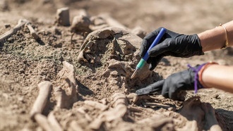 Учёные обнаружили 214 древних патогенов в ДНК доисторических людей