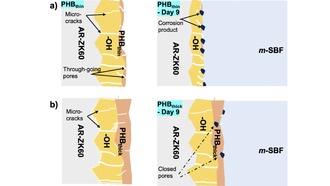 Новое покрытие замедляет коррозию магниевого сплава для медицинских имплантов
