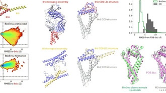 Новый ИИ-инструмент BioEmu моделирует динамику белков, ускоряя разработку лекарств