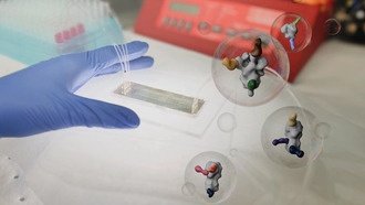 Новый микрочип ускоряет разработку вакцин, выявляя скрытые участки связывания антител