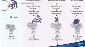 Ученые обнаружили более 1600 белков, пригодных для разработки новых лекарств