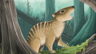 Студент обнаружил крошечного доисторического зверька с бритвенно-острыми зубами