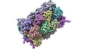 Учёные обнаружили более 200 скрытых белков, связанных с развитием болезни Альцгеймера
