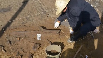 В Китае найдены деревянные орудия возрастом 300 000 лет, раскрывающие рацион и когнитивные способности древних людей