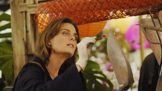 Эмили Дешанель получила выговор за опоздания на съемках «Костей»