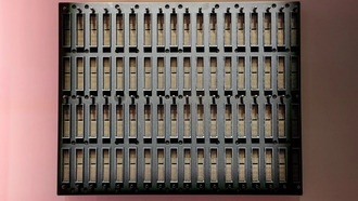 Дженсен Хуанг сравнил стратегическую роль Nvidia с долларом США