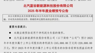 BAIC BluePark прогнозирует убытки в 24,5 млрд рублей за первое полугодие