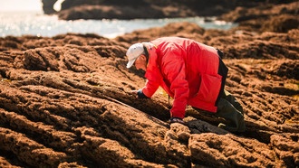 Учёные проверили прогнозы о состоянии береговых линий мира за последние 25 лет