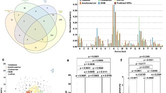 ИИ обнаружил сотни потенциальных антибиотиков в яде змей и пауков