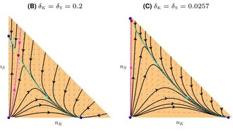 Миролюбивые микробы выживают агрессивных конкурентов в суровых условиях
