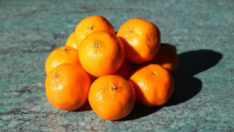 Учёные создали геномную модель для улучшения урожая цитрусовых