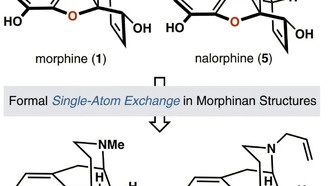 Ученые создали безопасную альтернативу морфину без эффекта привыкания