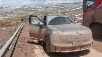 Автомобильные защитные сетки: польза или вред?