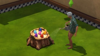 Полное прохождение квестов «Зов природы» в The Sims 4: 4-я неделя