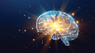 Препарат GAI-17 восстанавливает мозг после инсульта и может помочь при болезни Альцгеймера