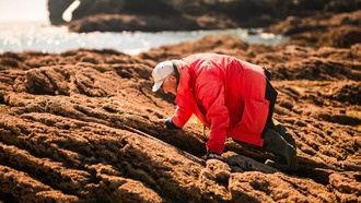 25 лет наблюдений за побережьем: что учёные предсказали верно, а что нет