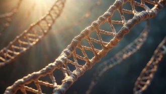 Китайские учёные совершили прорыв в сборке человеческой ДНК и межвидовом переносе