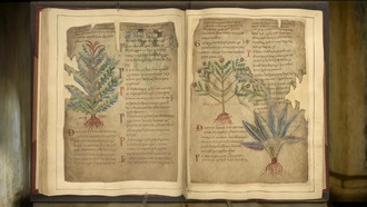 Средневековые медицинские практики возвращаются: научное подтверждение древних рецептов