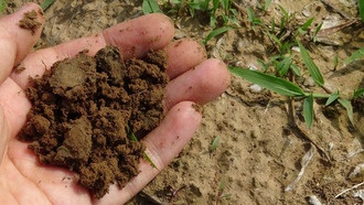 Простая модель предсказывает изменения метаболизма почвенного микробиома при изменении окружающей среды