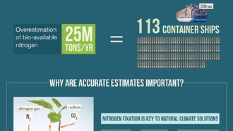 Глобальный анализ показал, что доступность азота в лесах и лугах переоценена