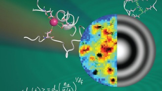 Учёные раскрыли скрытый мир жизненно важных клеточных структур с помощью голографической микроскопии