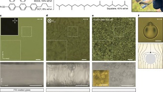 Учёные создали жидкие кристаллы, меняющие форму под действием электричества