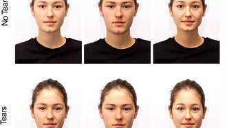 Слёзы воспринимаются как более искренние, если их проливают те, кто обычно не плачет