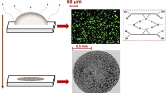 Как химия поверхности оксида графена влияет на узоры высыхающих капель