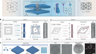 Программируемые ДНК-сверхрешетки: новый шаг в наноматериалах