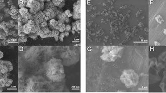 Новые «нанокветы» могут защитить мозг от окислительного повреждения