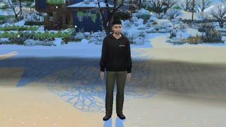 Полное прохождение всех квестов The Sims 4: Волшебство природы