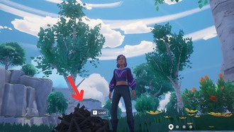 Где найти кучи хлама в Palia