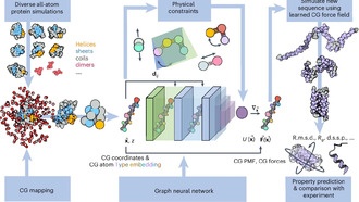 Новый ИИ-метод ускоряет моделирование белков и раскрывает сложную динамику их сворачивания