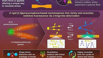 Умные полимерные материалы: новый механический датчик на основе флуоресценции