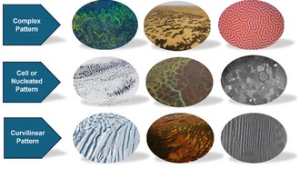 Коллапс экосистем оказался похож на поведение магнитов под нагрузкой